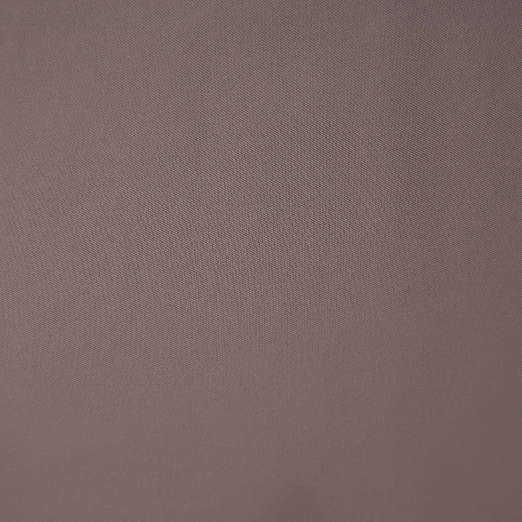 Beige Solid Diagonale Beige Chiaro Cotton Ariston Fabric